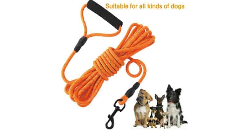 Dog Check Cord