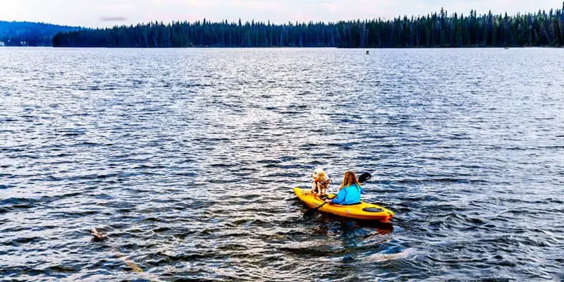 right kayak for you and your dog